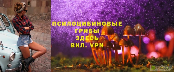 ECSTASY Богородск