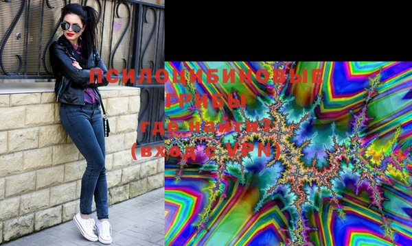 ECSTASY Богородск