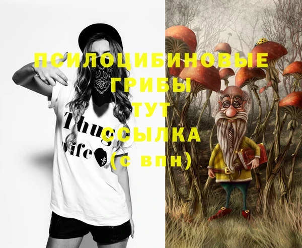 дурь Богданович