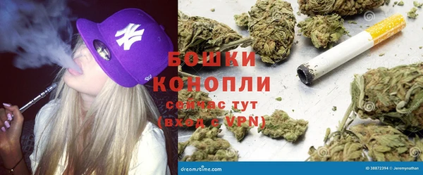 ECSTASY Богородск