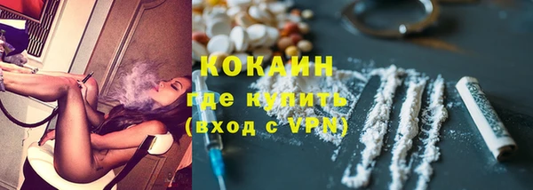 ECSTASY Богородск