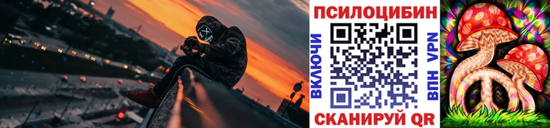 Купить где  Нягань  Псилоцибиновые грибы Psilocybe 